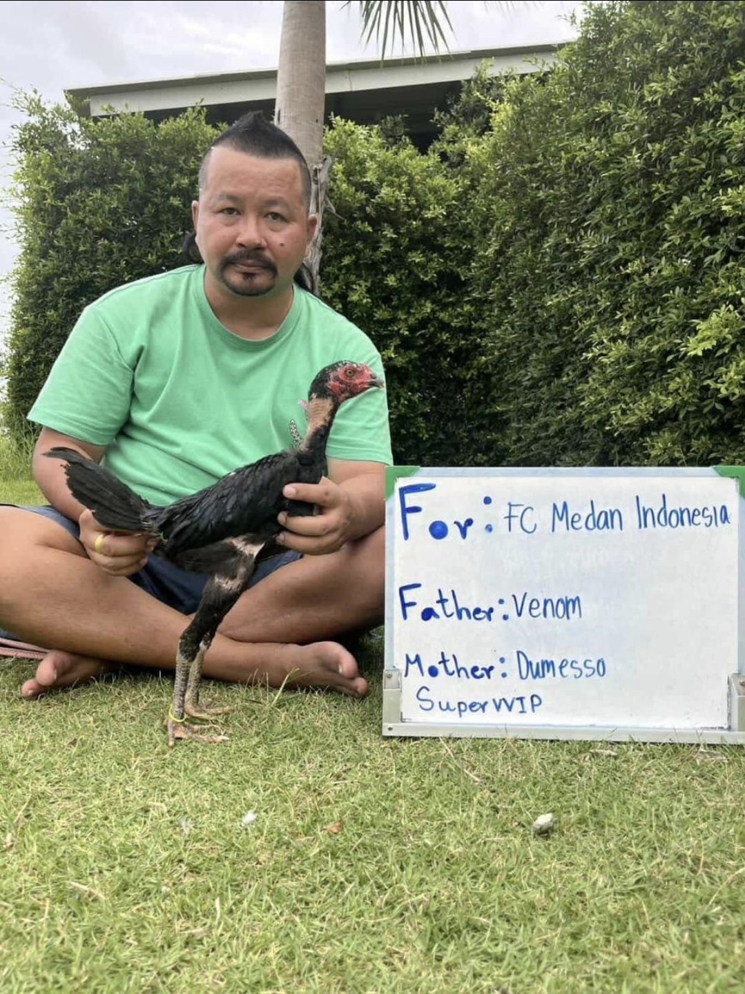 Venom x Dumesso (Super VIP) — FC FARM Medan