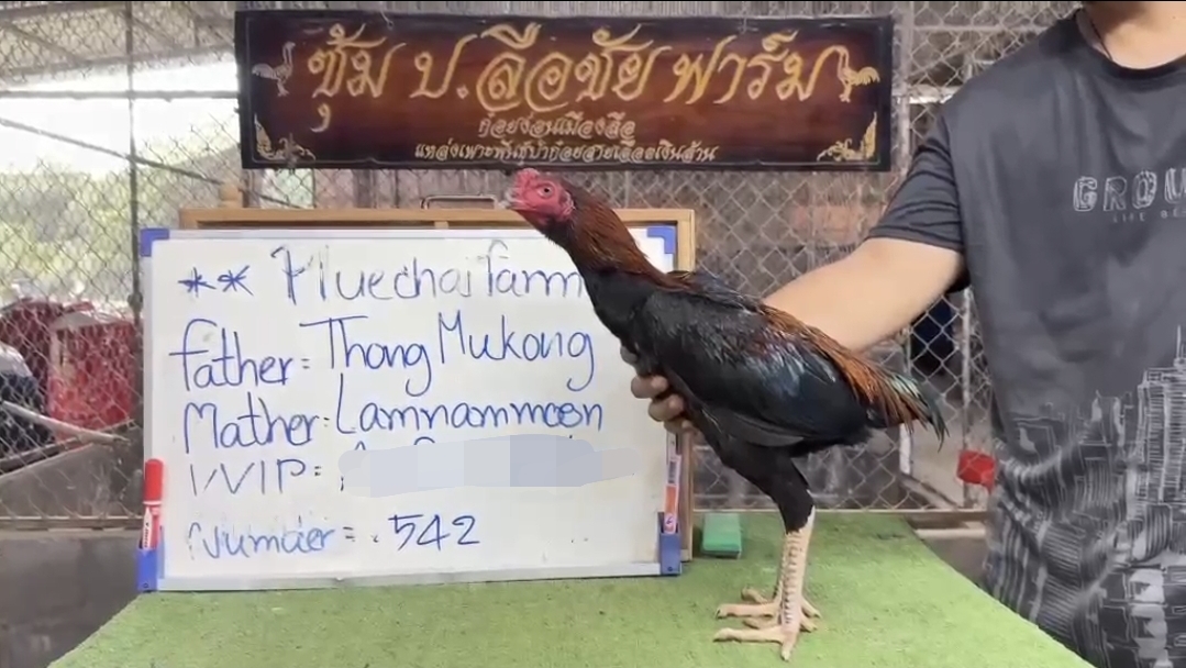 Thong Mukong × Lamnammoon — FC FARM Medan