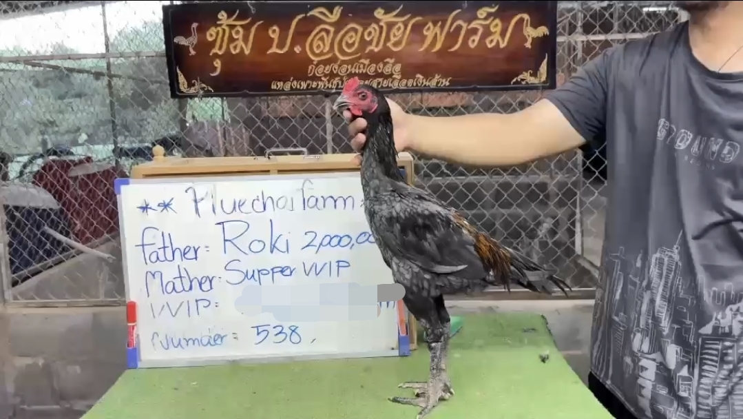 Roki 2,000,000 × Super VVIP — FC FARM Medan