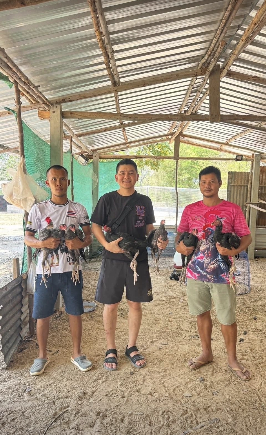 Momen Seleksi Amunisi Berkualitas di Farm Mr. Pung — FC FARM Medan